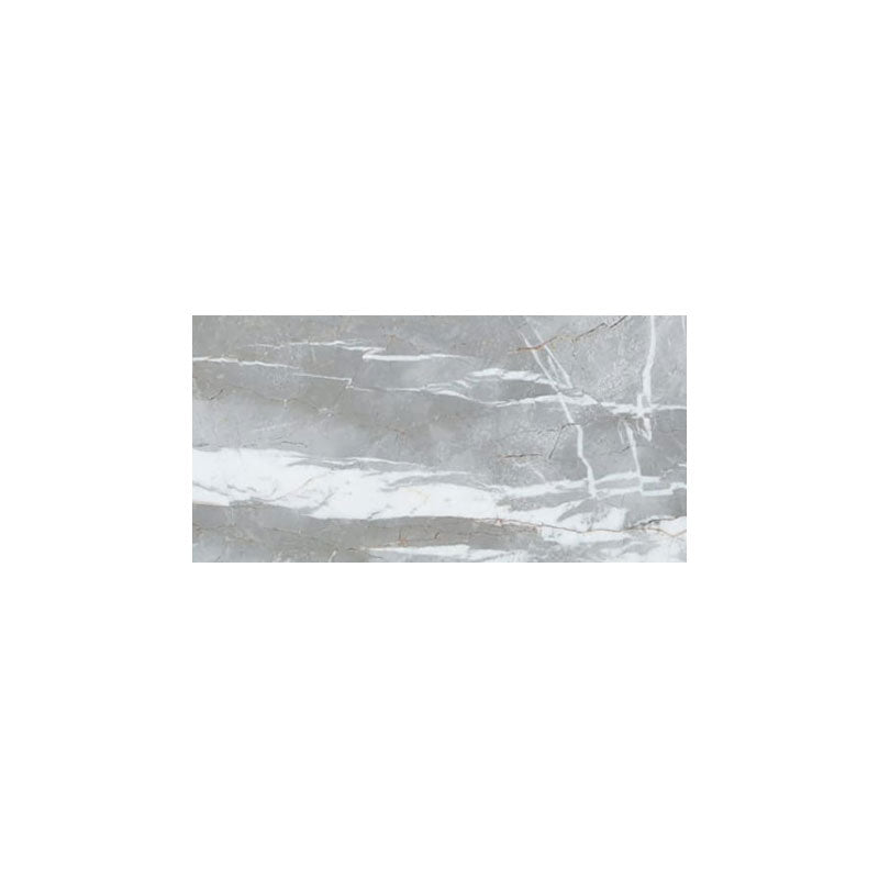 Astana Gray Exotic Marble Polished Floor and Wall Tile