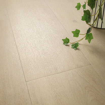 MSI Kallum Benton Blonde Luxury Vinyl Planks