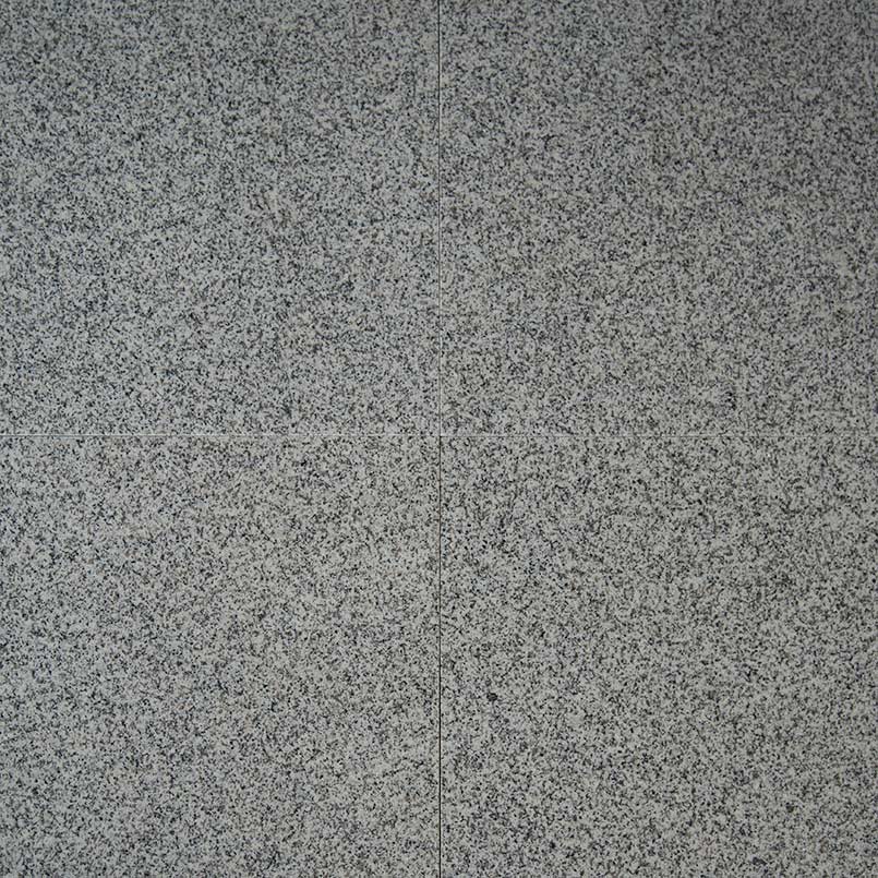 MSI Bianco Catalina Granite