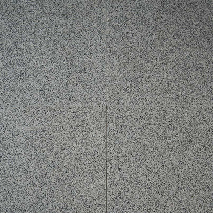 MSI Bianco Catalina Granite