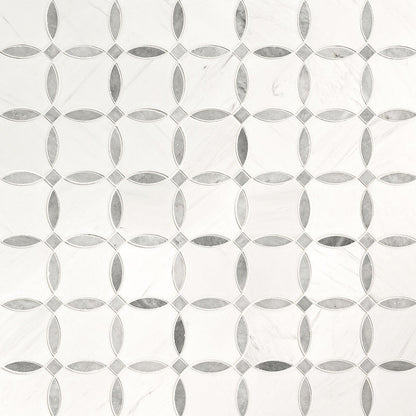 MSI Bianco Dolomite Lola Polished