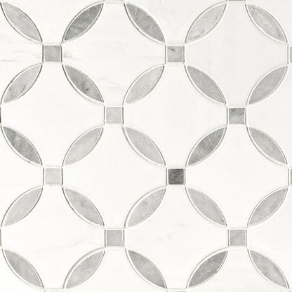 MSI Bianco Dolomite Lola Polished