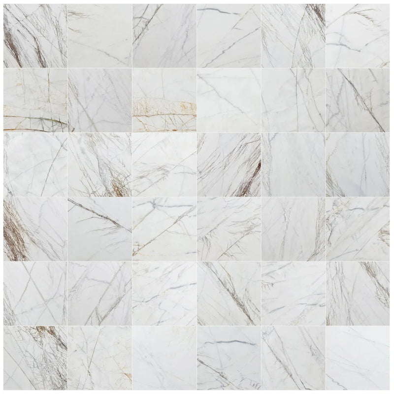 Bianco Rigata Exotic Marble Polished Floor and Wall Tile