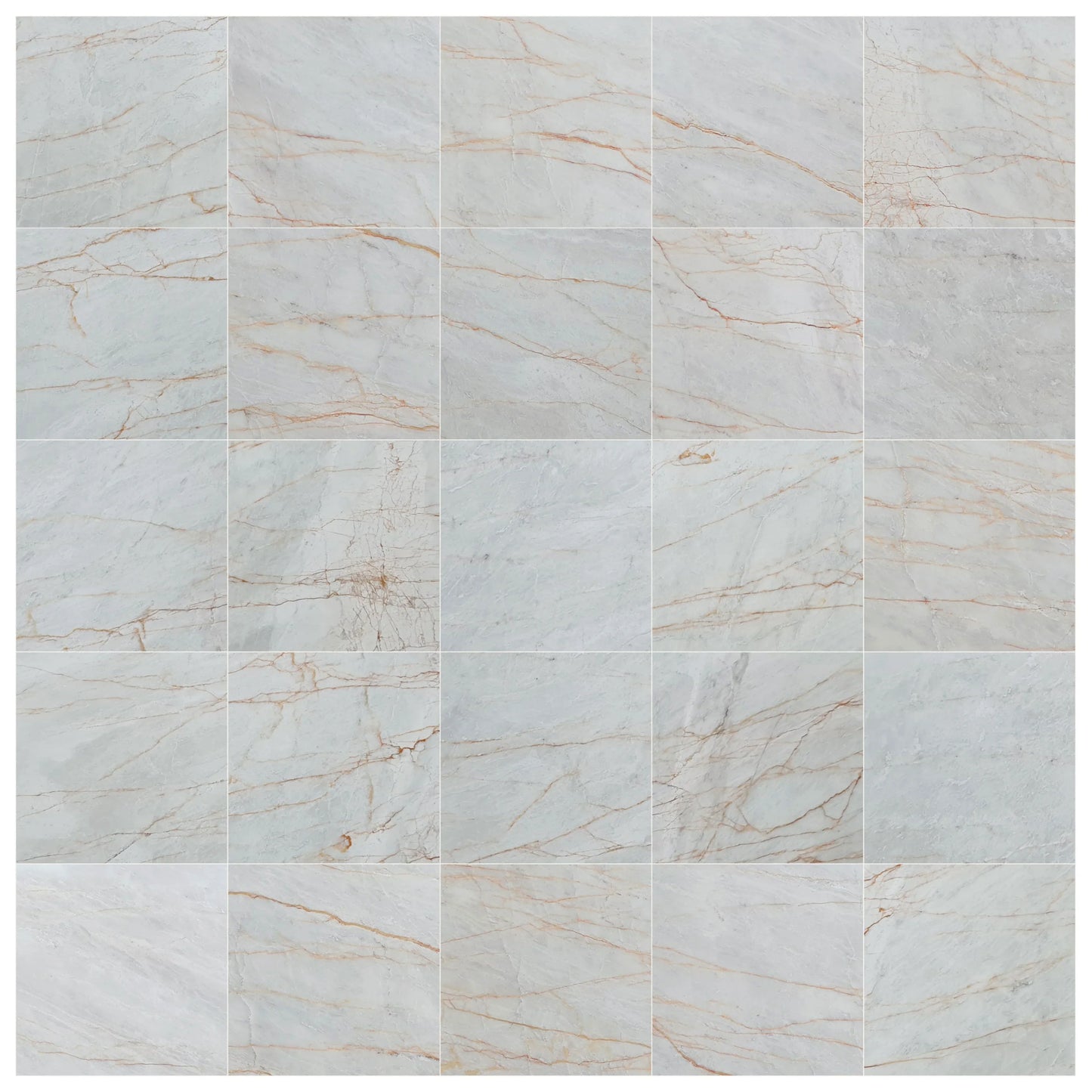 Bianco Venato Exotic Marble Polished Floor and Wall Tile