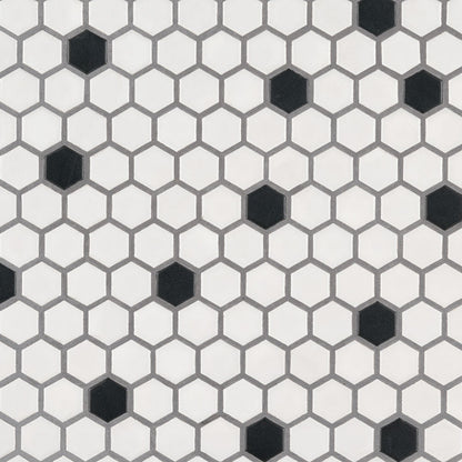 MSI Black And White 1” Hexagon Mosaic Tile