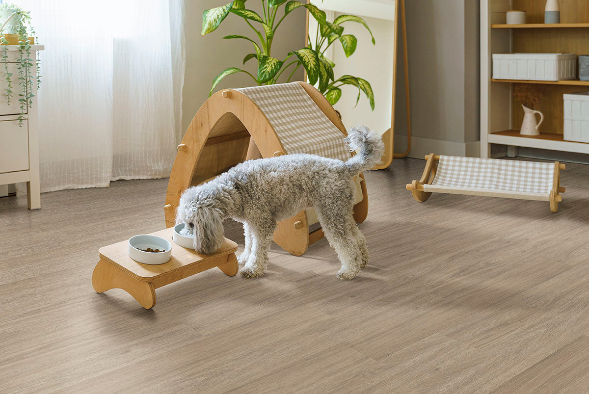 MSI Wilmont®Bleached Elm®Luxury Vinyl Planks