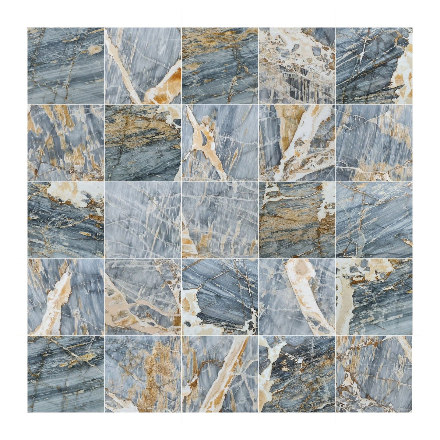 Bluezonai Exotic Marble Polished Floor and Wall Tile