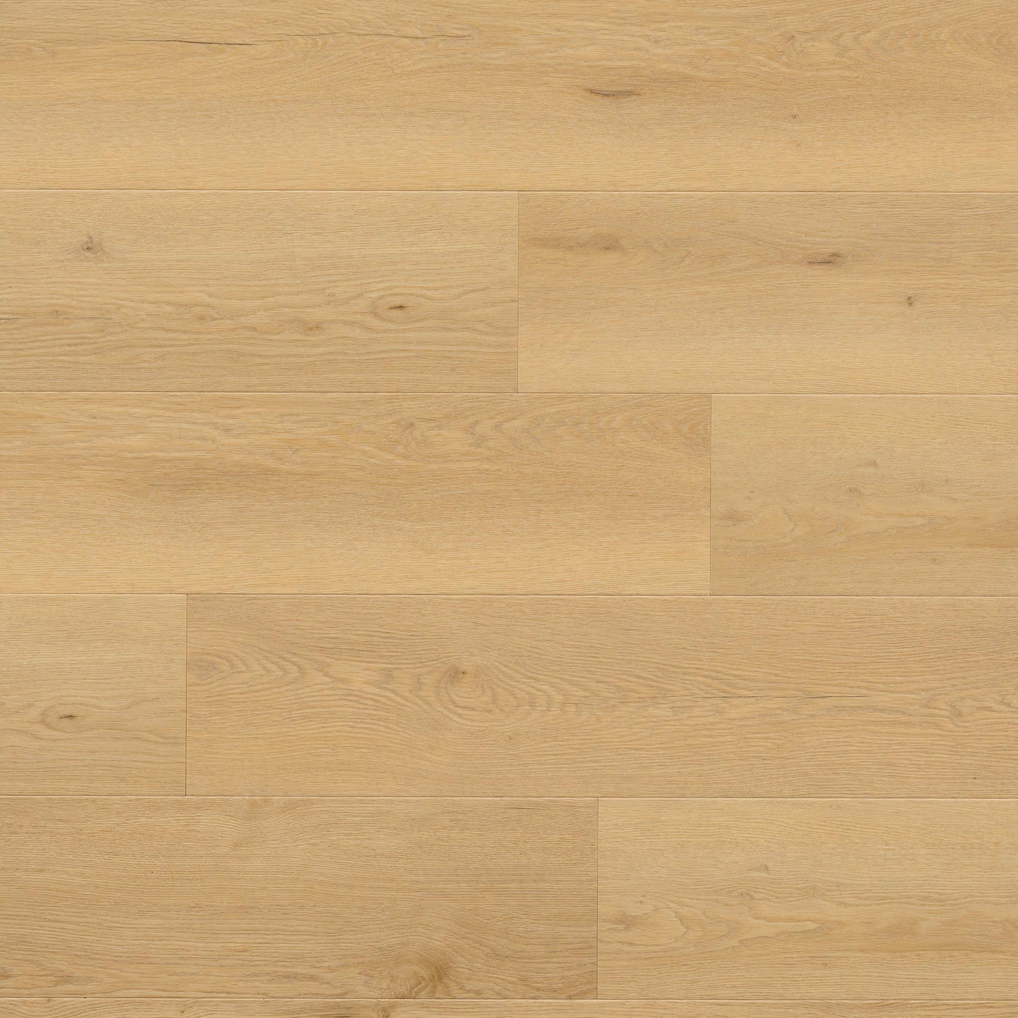 MSI Wayne Parc™Bluffview™Luxury Vinyl Planks