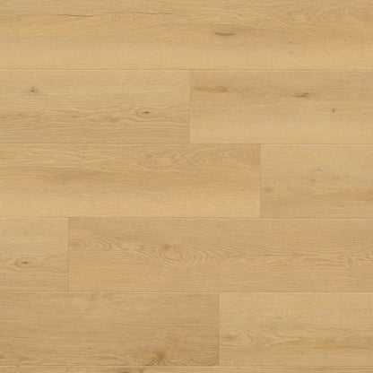 MSI Wayne Parc™Bluffview™Luxury Vinyl Planks