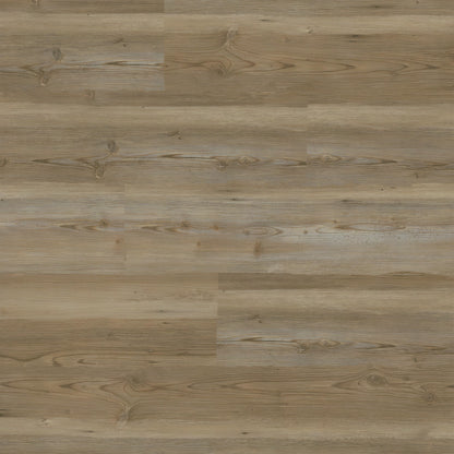 MSI Brookings Forrester Luxury Vinyl Planks
