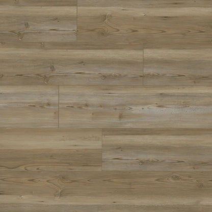 MSI Brookings Forrester Luxury Vinyl Planks