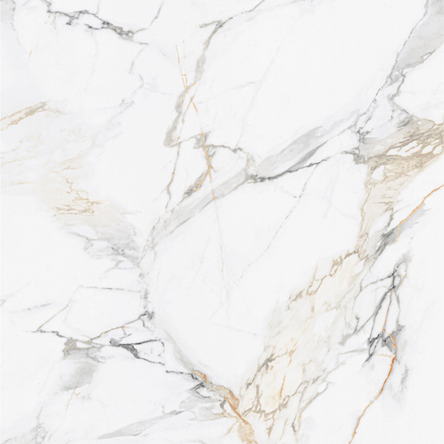 MSI Calacatta Golden Mist Panels