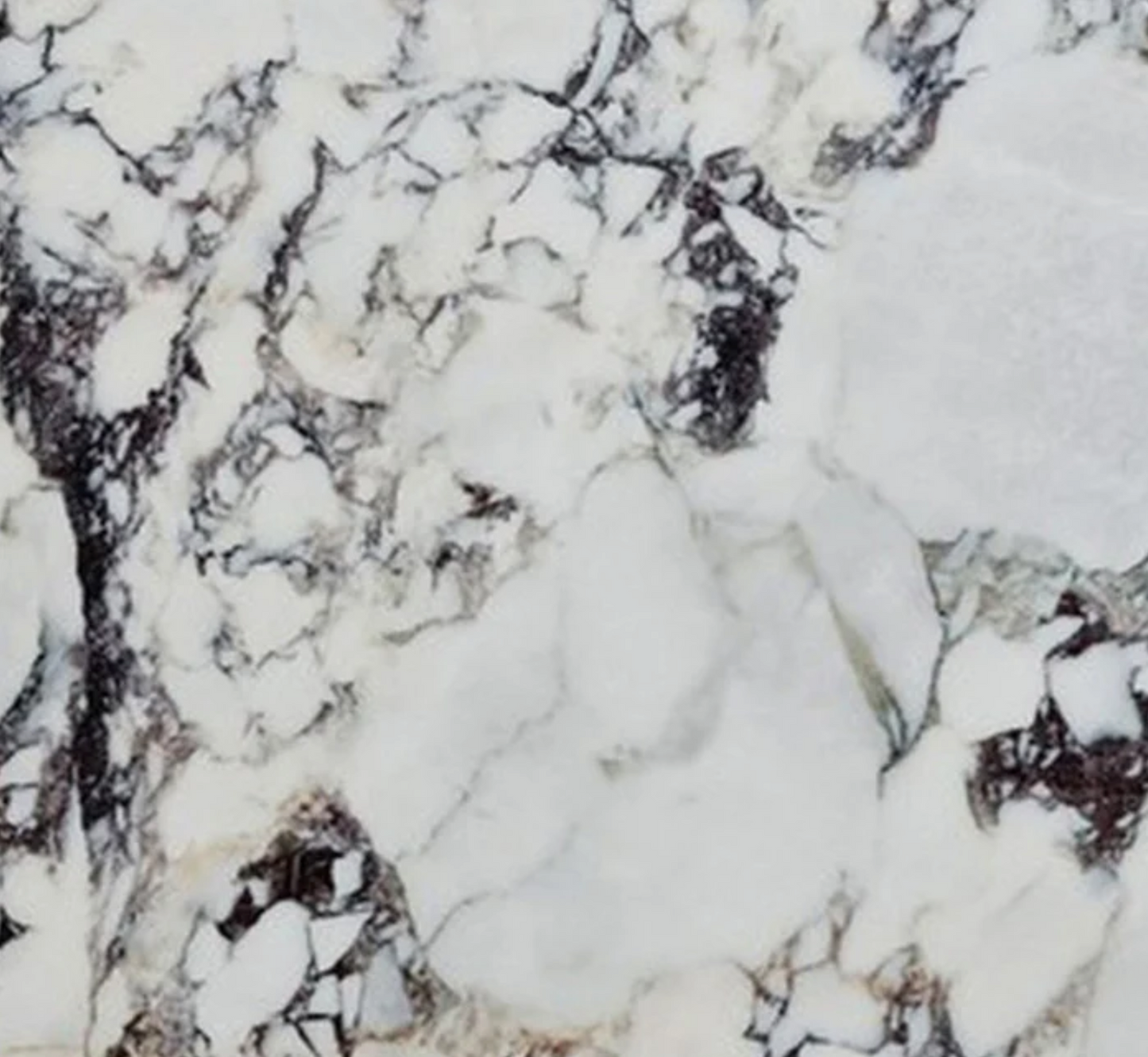 Calacatta Viola White Bookmatching Marble Slabs Polished - Full Truckload