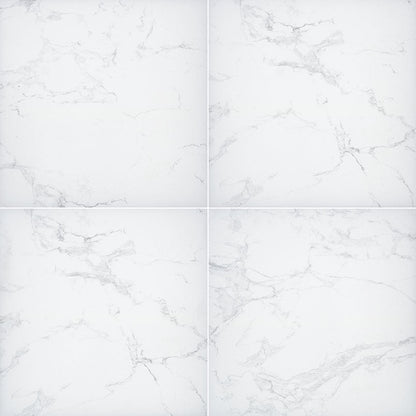 MSI Praia™Carrara