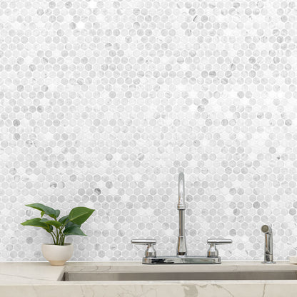 MSI Carrara White Round Pattern Honed