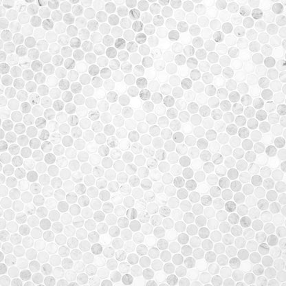 MSI Carrara White Round Pattern Honed