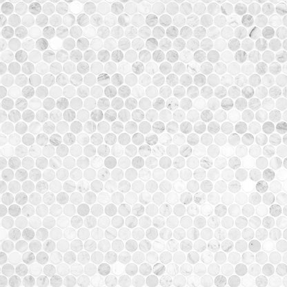 MSI Carrara White Round Pattern Honed