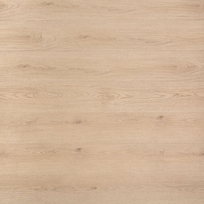 MSI XL Cyrus®Chester Hills Luxury Vinyl Planks