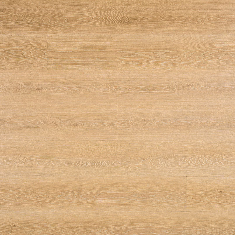 MSI Cyrus®Valleyview Grove Luxury Vinyl Planks