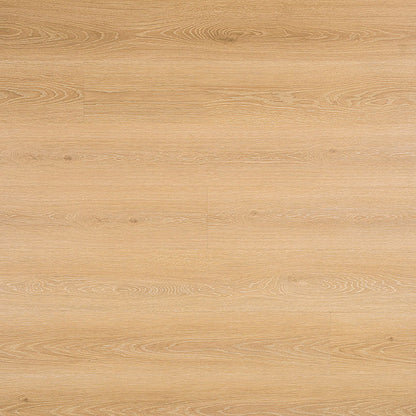 MSI Prescott®Valleyview Grove Luxury Vinyl Planks