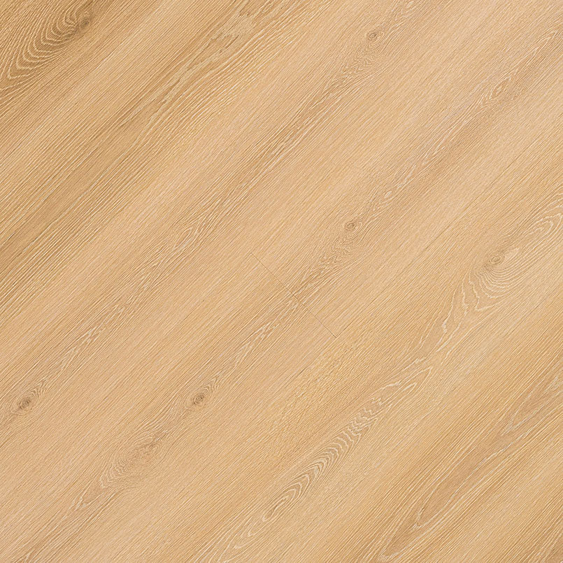 MSI Cyrus®Valleyview Grove Luxury Vinyl Planks