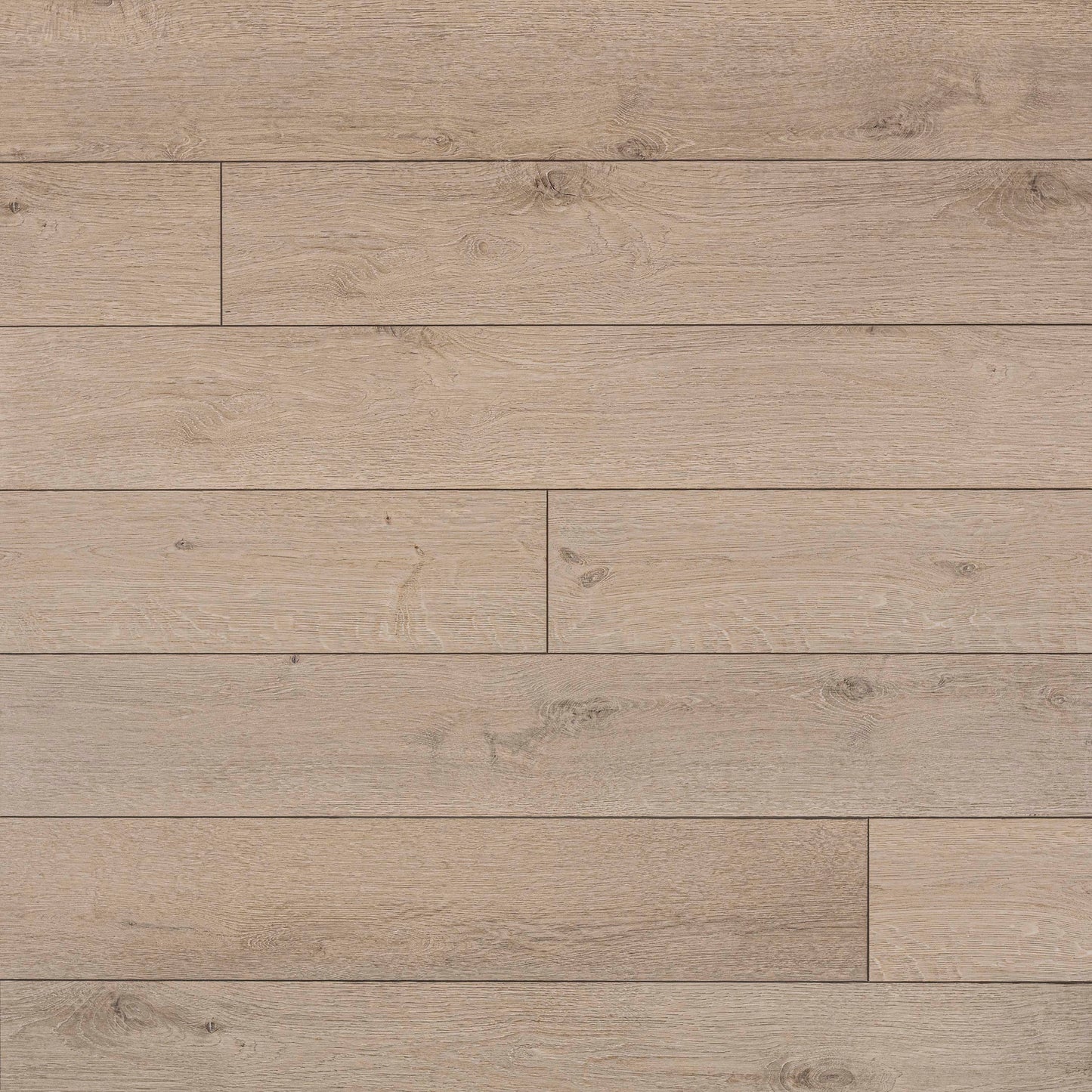 MSI Daria Umber Luxury Vinyl Planks