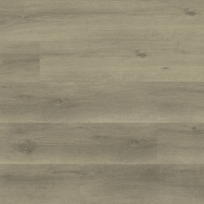 MSI Dillion Fog Luxury Vinyl Plank