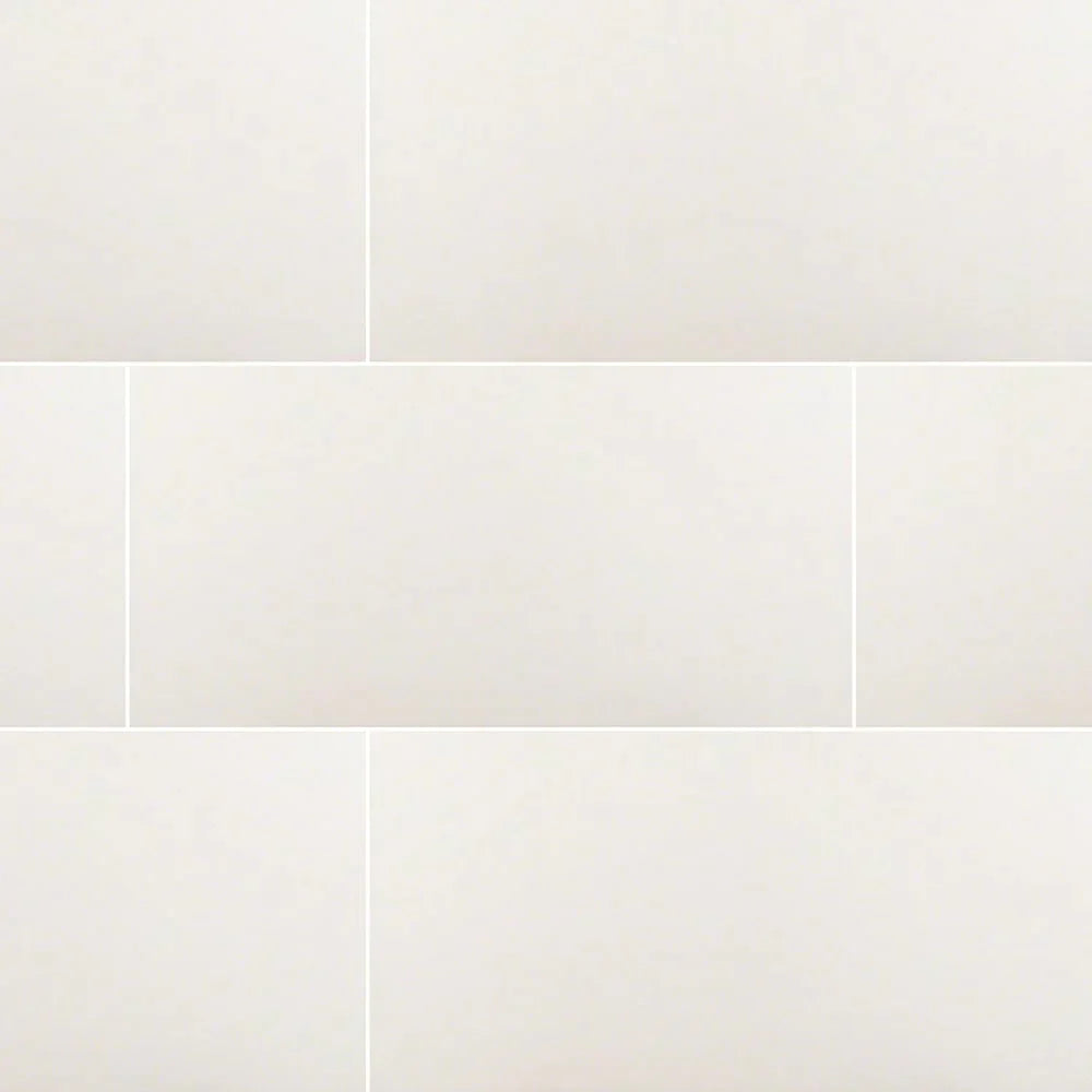 MSI Domino White Porcelain Wall and Floor Tile