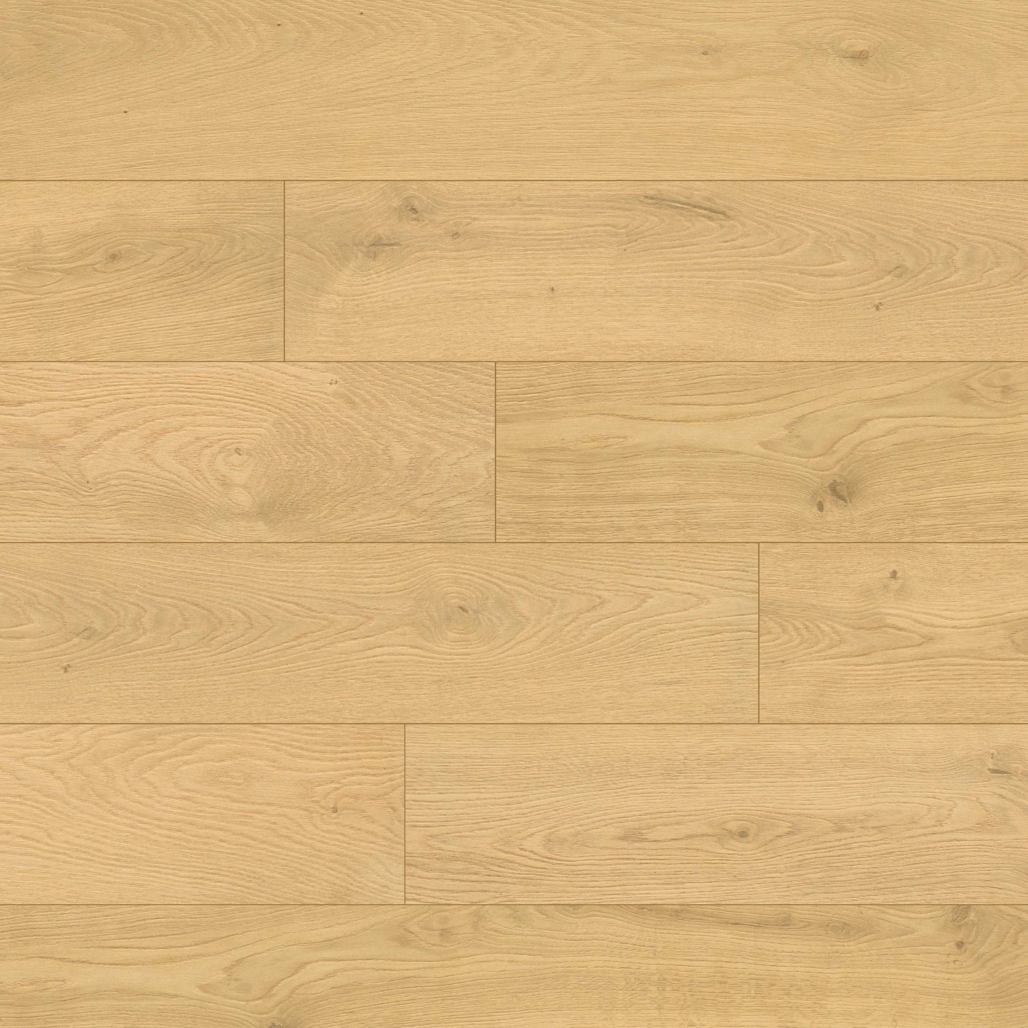 MSI Doverville Hybrid Rigid Core Flooring