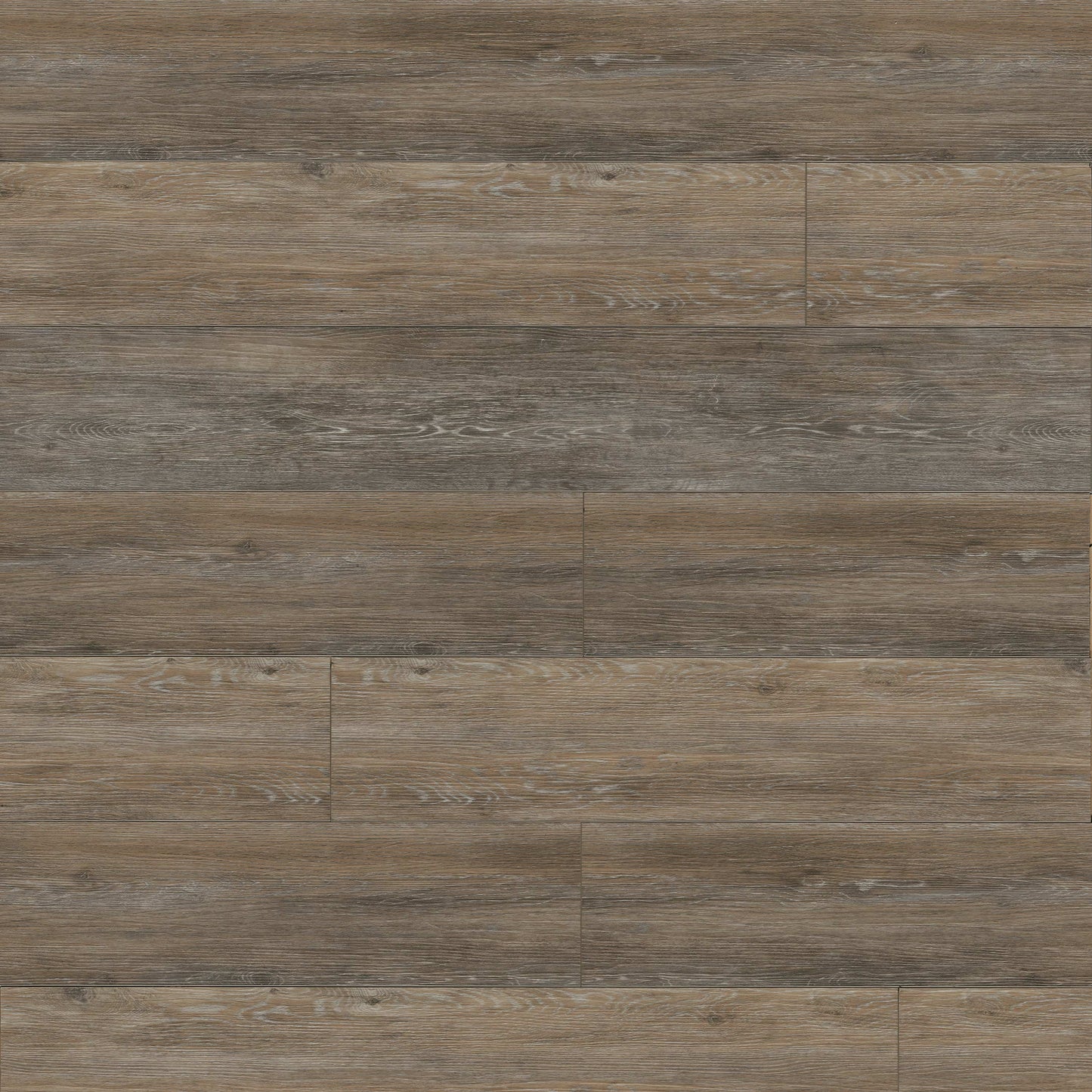 MSI Dulles Tails Luxury Vinyl Planks