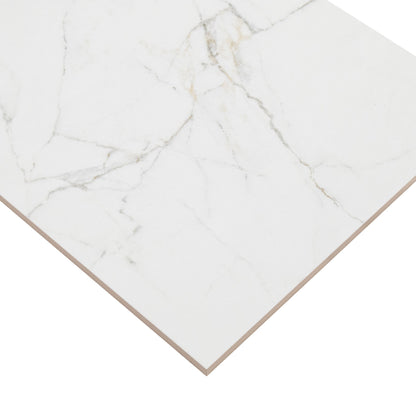 MSI Dymo Calacatta White 12x24