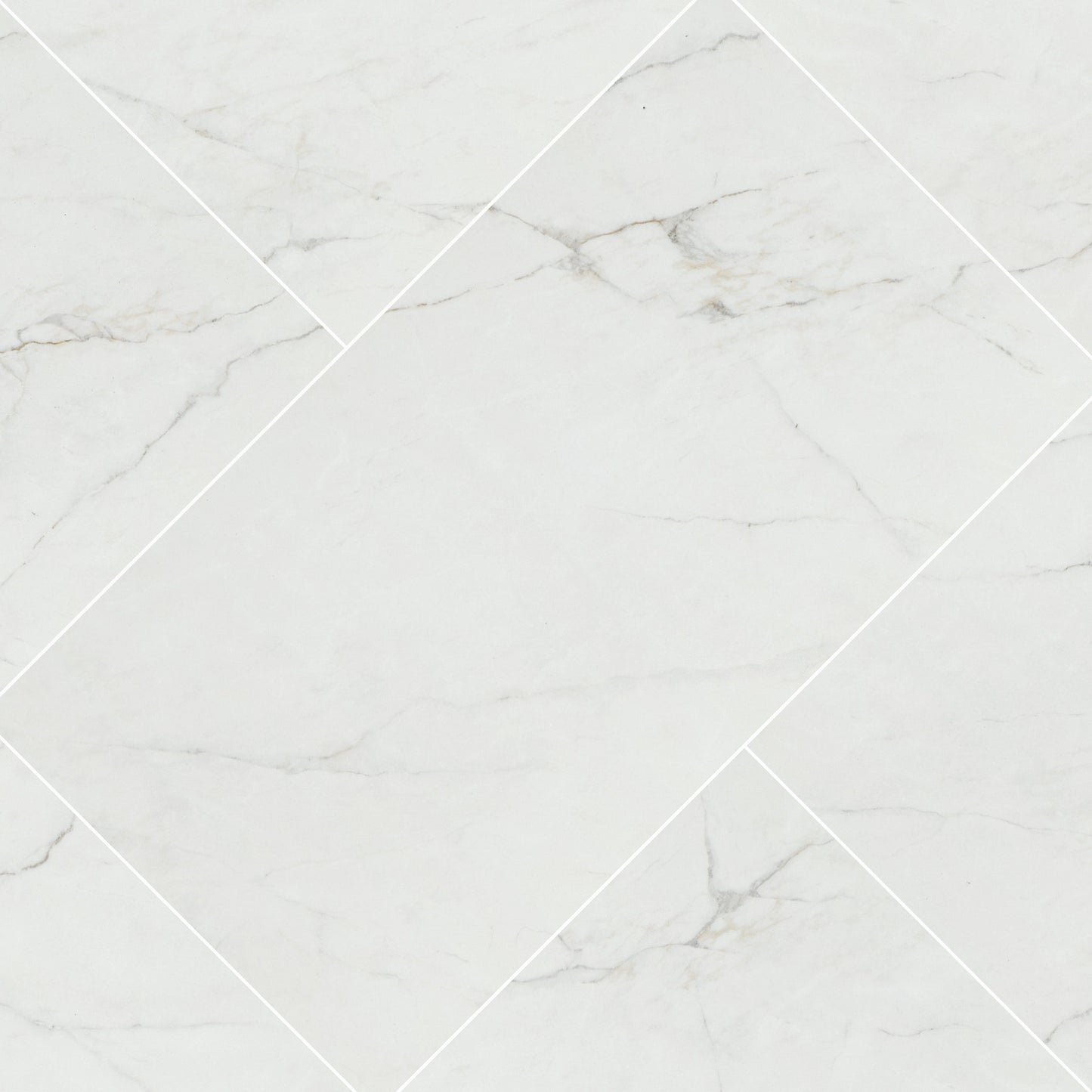MSI Dymo Calacatta White 12x24