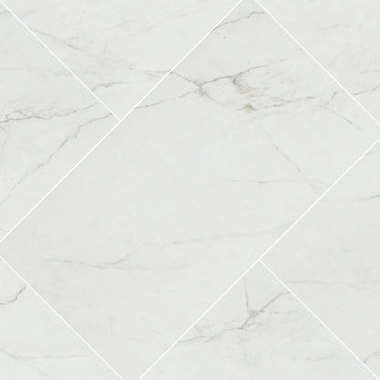 MSI Dymo Calacatta White 12x24