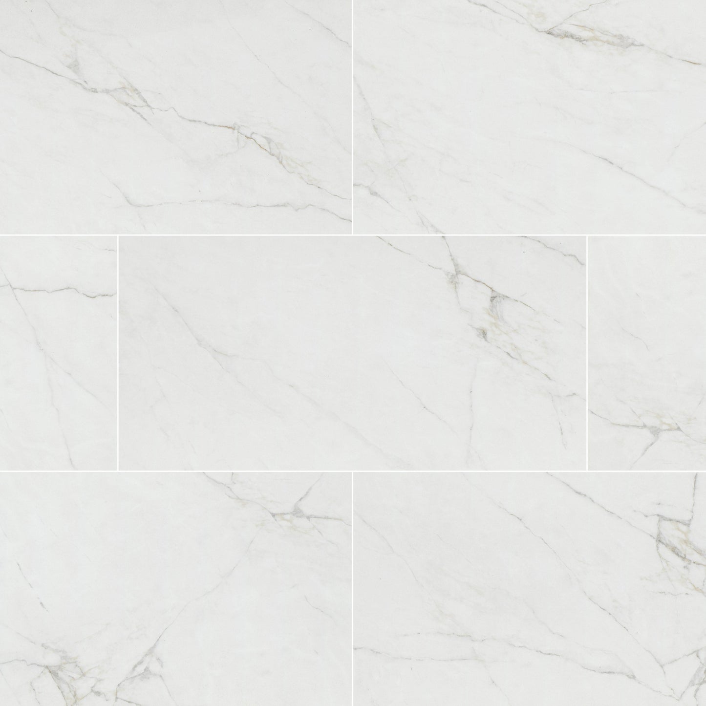 MSI Dymo Calacatta White 12x24