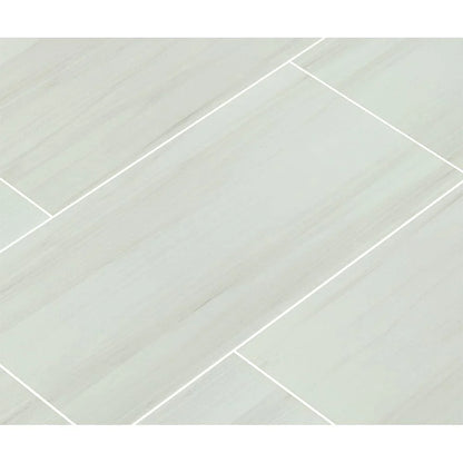 MSI Eden Dolomite Porcelain Wall and Floor Tile