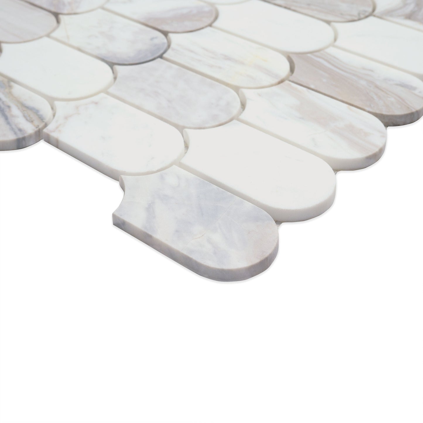 MSI Edessa Scallop Polished Tile