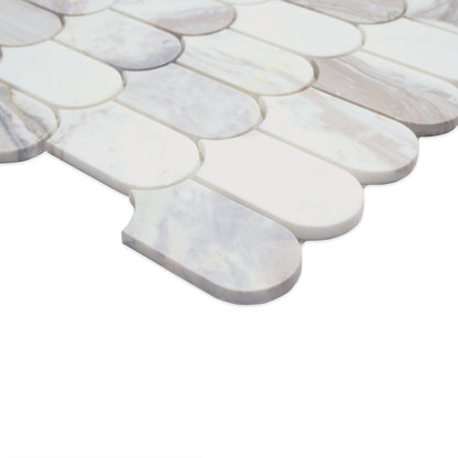 MSI Edessa Scallop Polished Tile