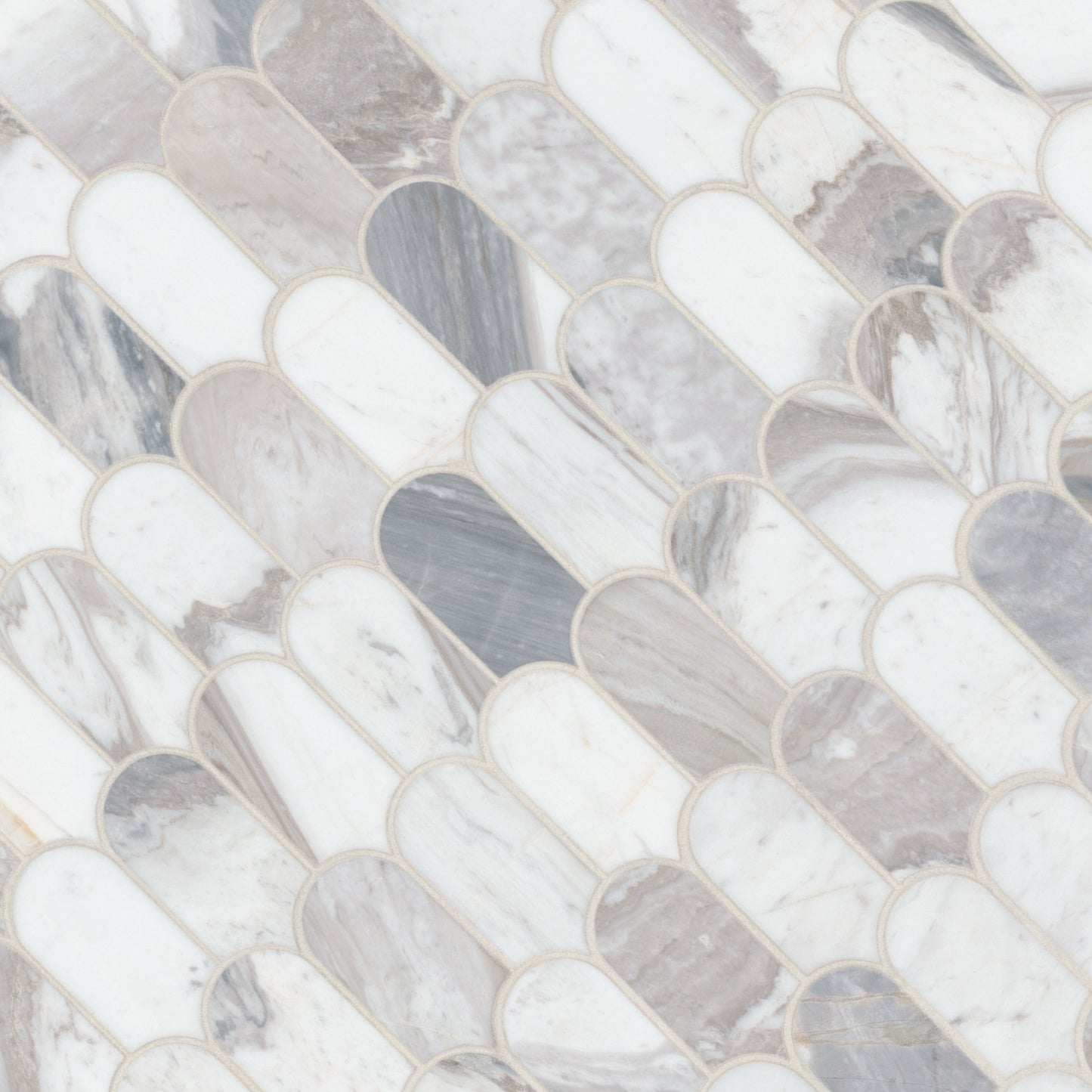 MSI Edessa Scallop Polished Tile