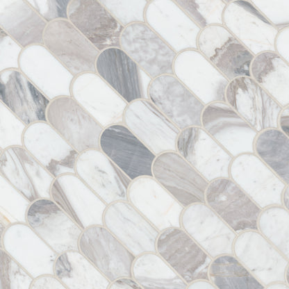 MSI Edessa Scallop Polished Tile