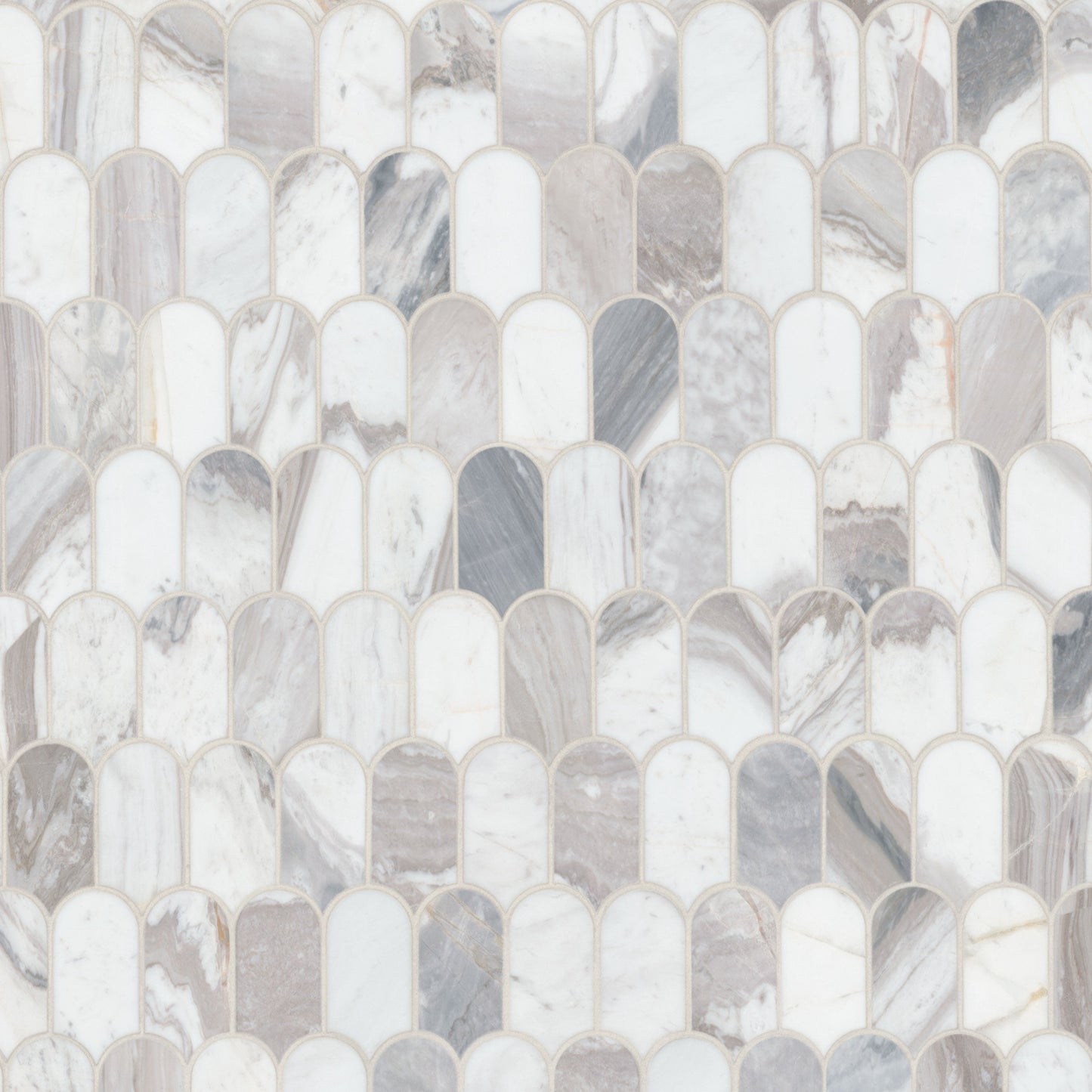 MSI Edessa Scallop Polished Tile