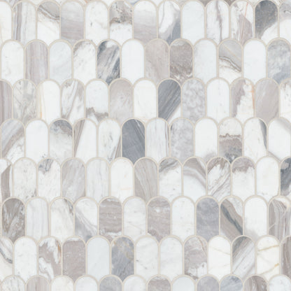 MSI Edessa Scallop Polished Tile
