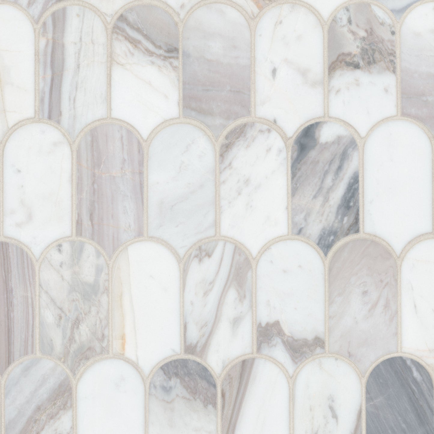 MSI Edessa Scallop Polished Tile
