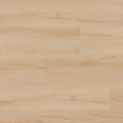MSI NOVE PLUS FALLONTON Luxury Vinyl Planks