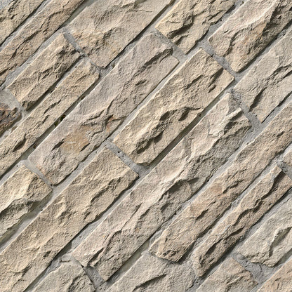 MSI Fossil Rustic Ledgestone