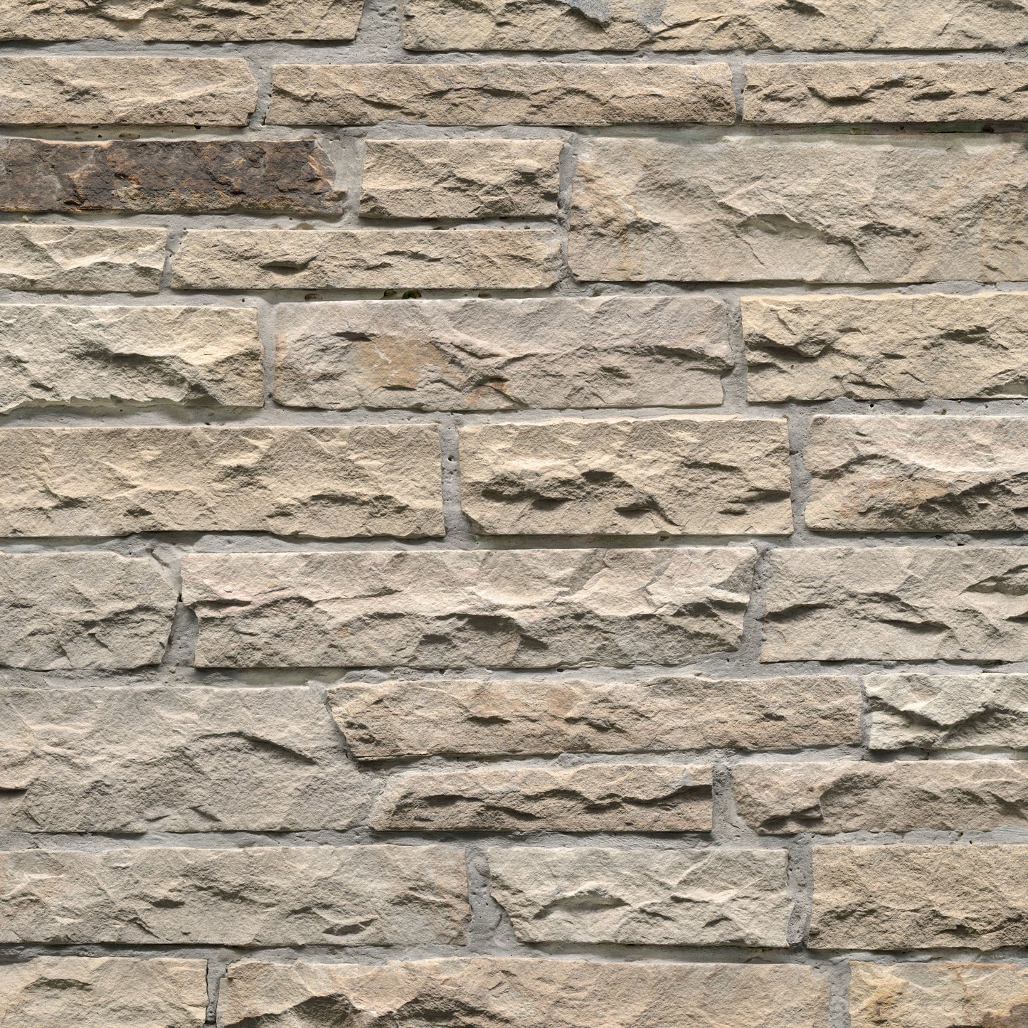 MSI Fossil Rustic Ledgestone