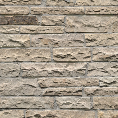 MSI Fossil Rustic Ledgestone
