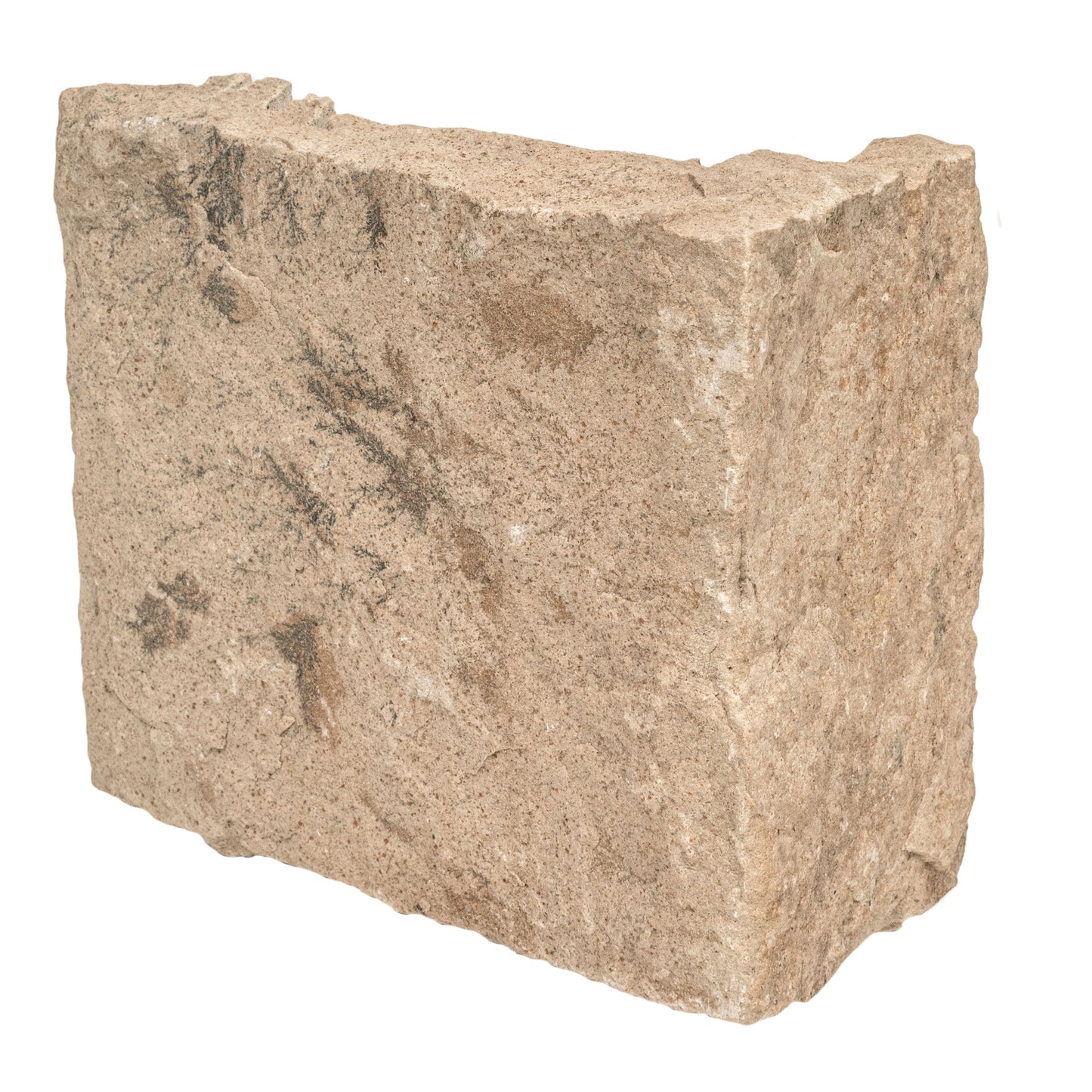MSI Fossil Rustic Squares & Rectangles