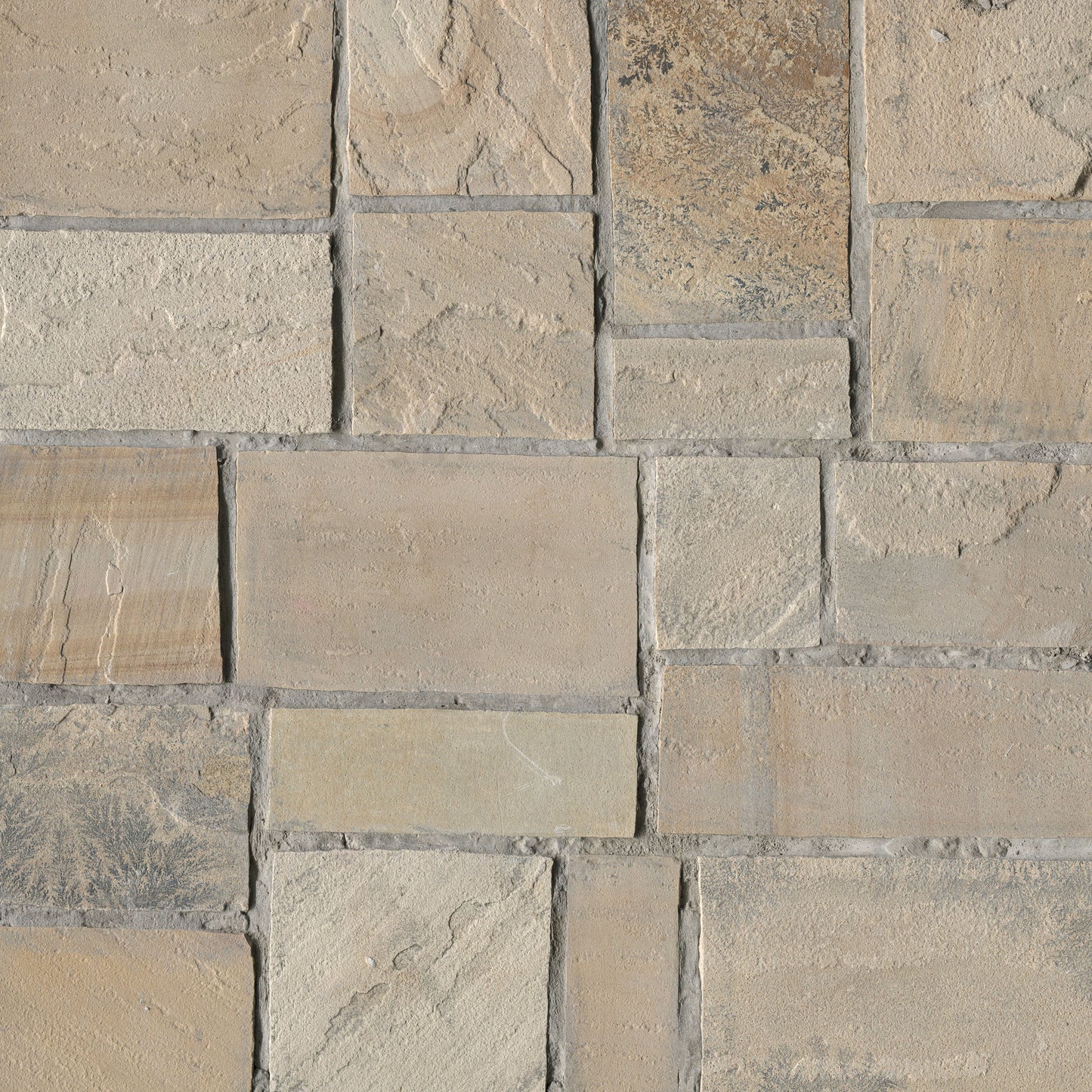 MSI Fossil Rustic Squares & Rectangles