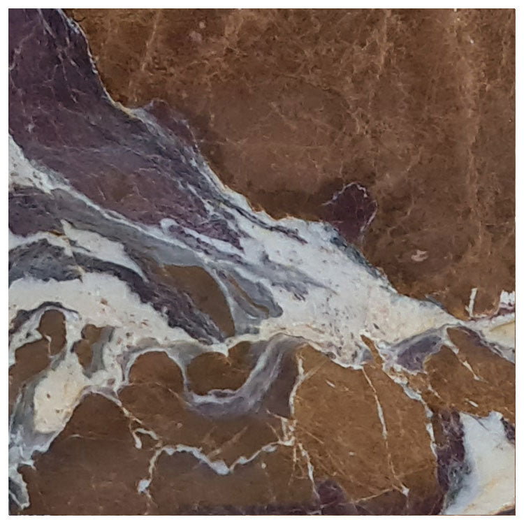 Fusion Berry Exotic Marble Polished Floor and Wall Tile