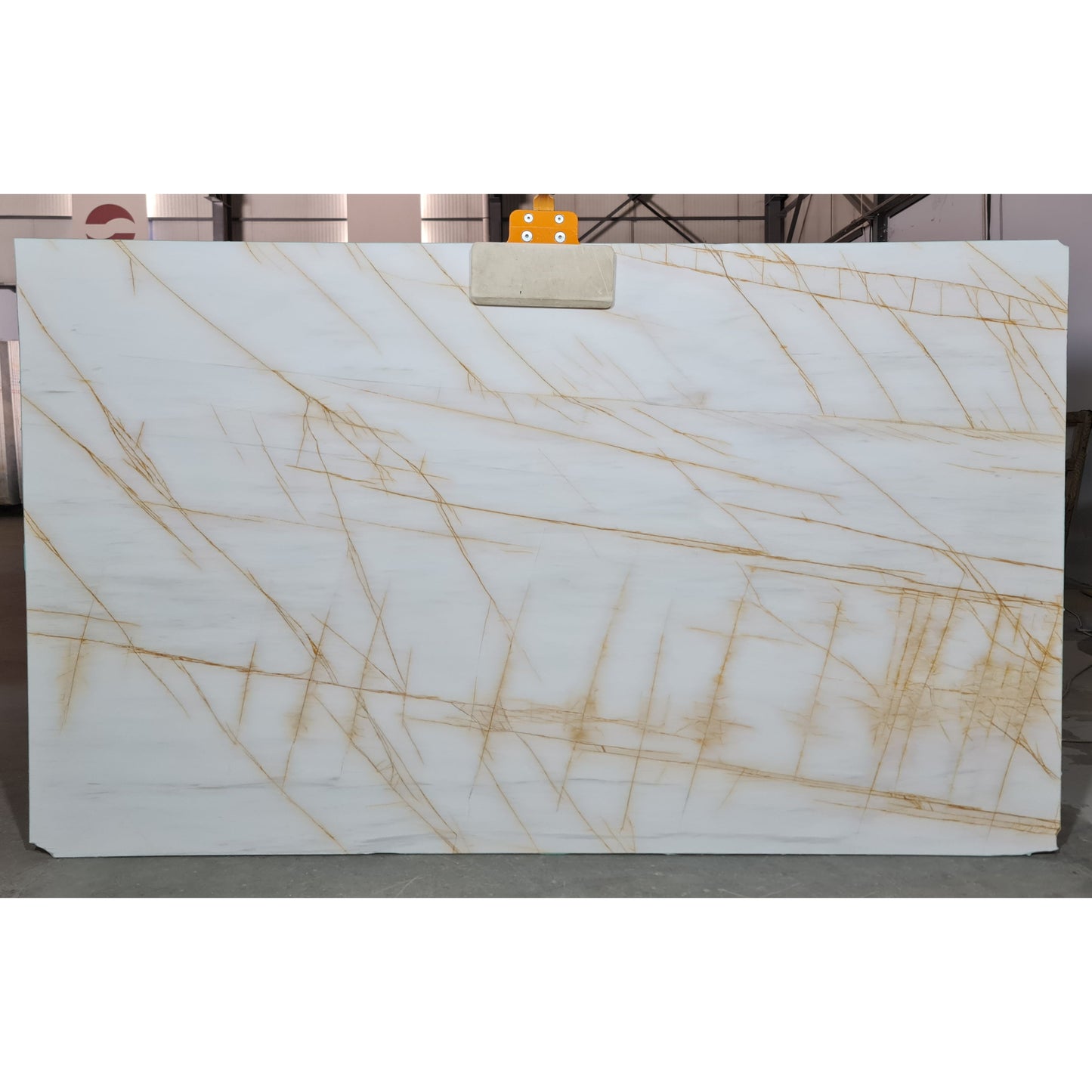 Bianco Golden Spider Bookmatching Polished Dolomite Slab